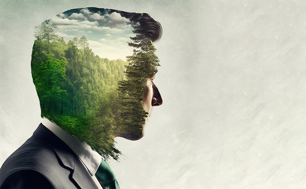 Sustainable project management: a guide